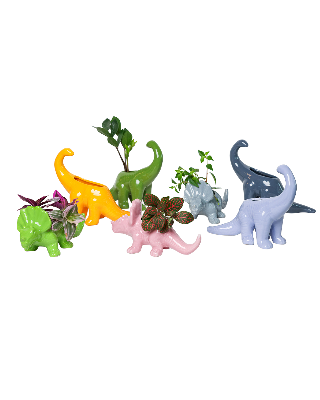 Dinosaur Ceramic Indoor Plant Pot Kits