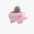 Pig Planter - Ceramic Animal Succulent Pot 3in 2 Colors