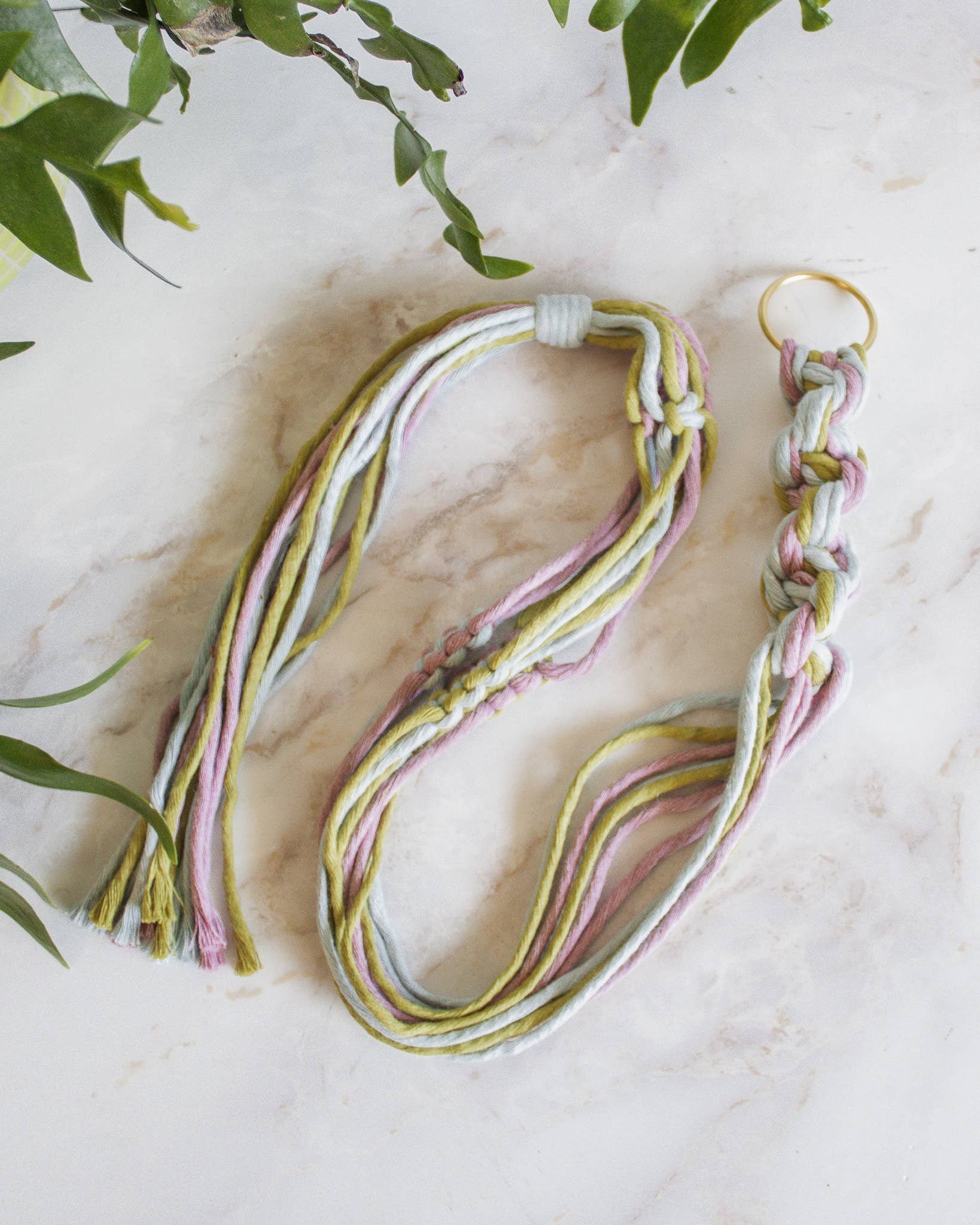 Chunky Twist Plant Hanger - Multicolor