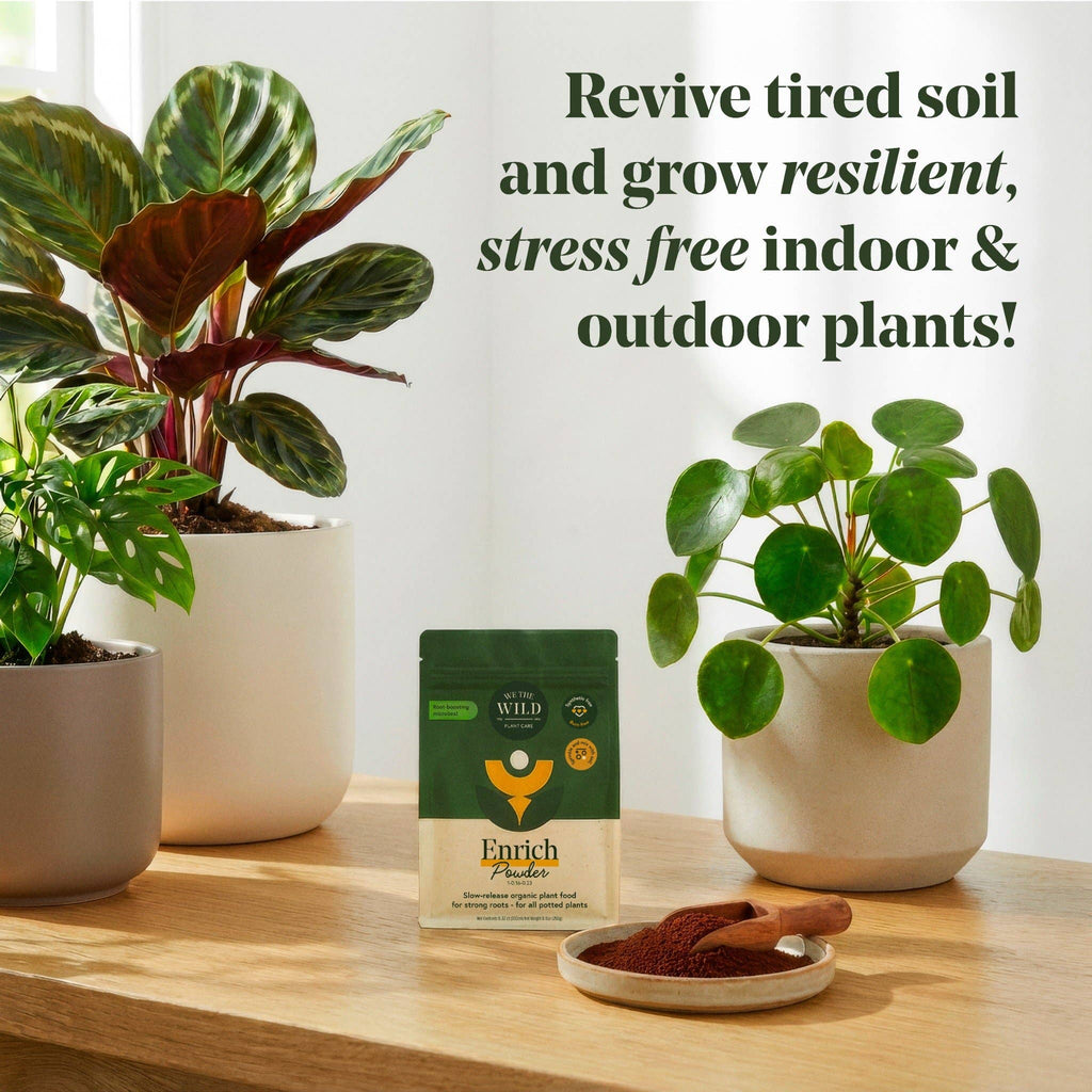 Enrich Organic Plant Food and Soil Amendment 14 oz