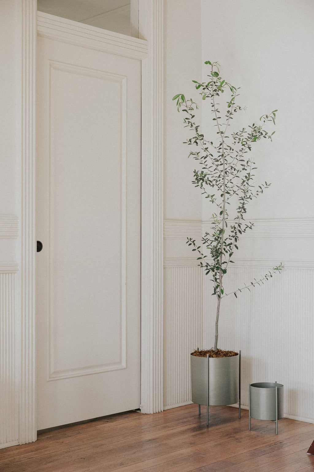 Large Green Botanic Plant Pot with Stand