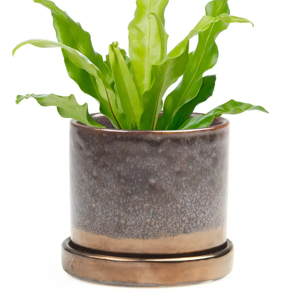 Ceramic Pot With Drainage Hole - Minute 2 Sizes 16 Colors