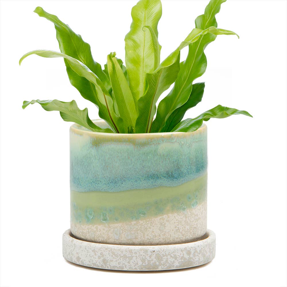 Ceramic Pot With Drainage Hole - Minute 2 Sizes 16 Colors