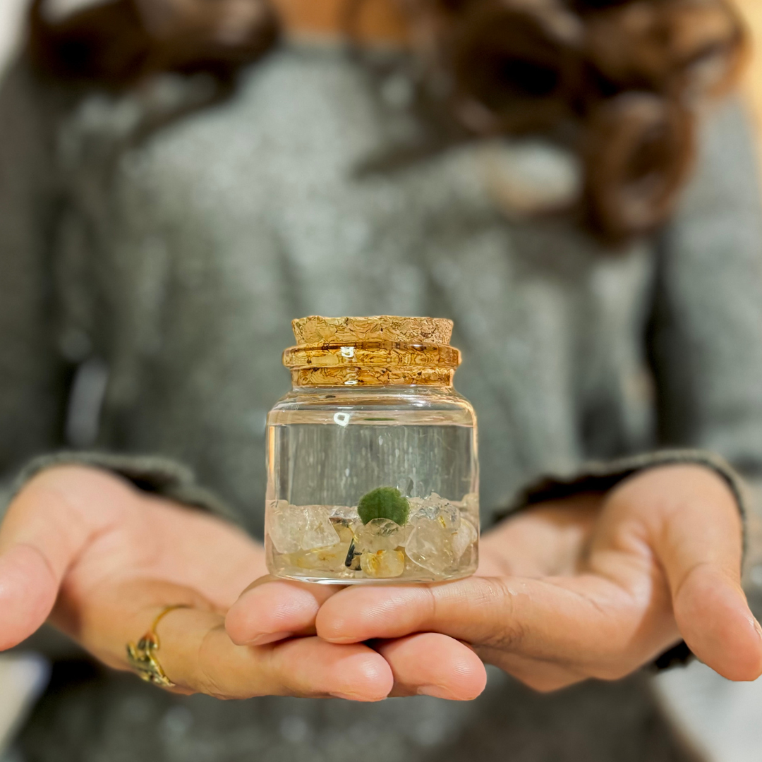 Small Marimo Moss Ball Terrarium with Citrine Gemstones