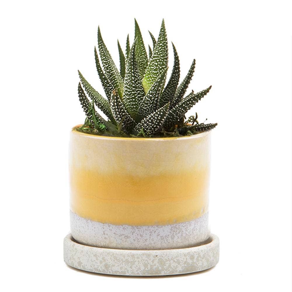 Ceramic Pot With Drainage Hole - Minute 2 Sizes 16 Colors