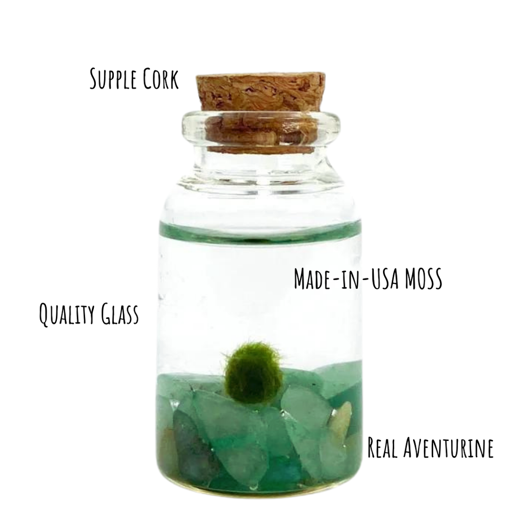 Tiny Marimo Moss Ball Terrarium with Aventurine Gemstones