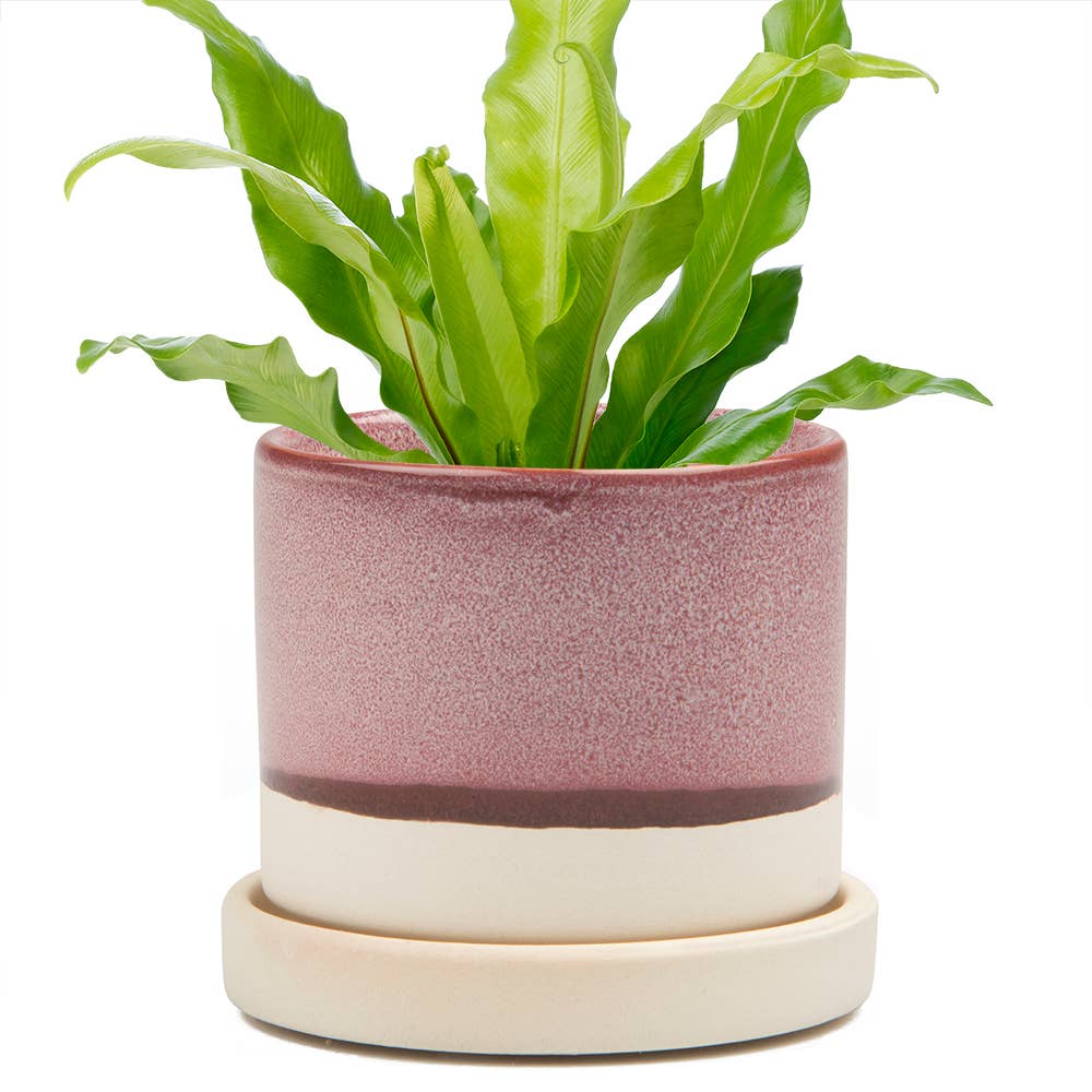 Ceramic Pot With Drainage Hole - Minute 2 Sizes 16 Colors