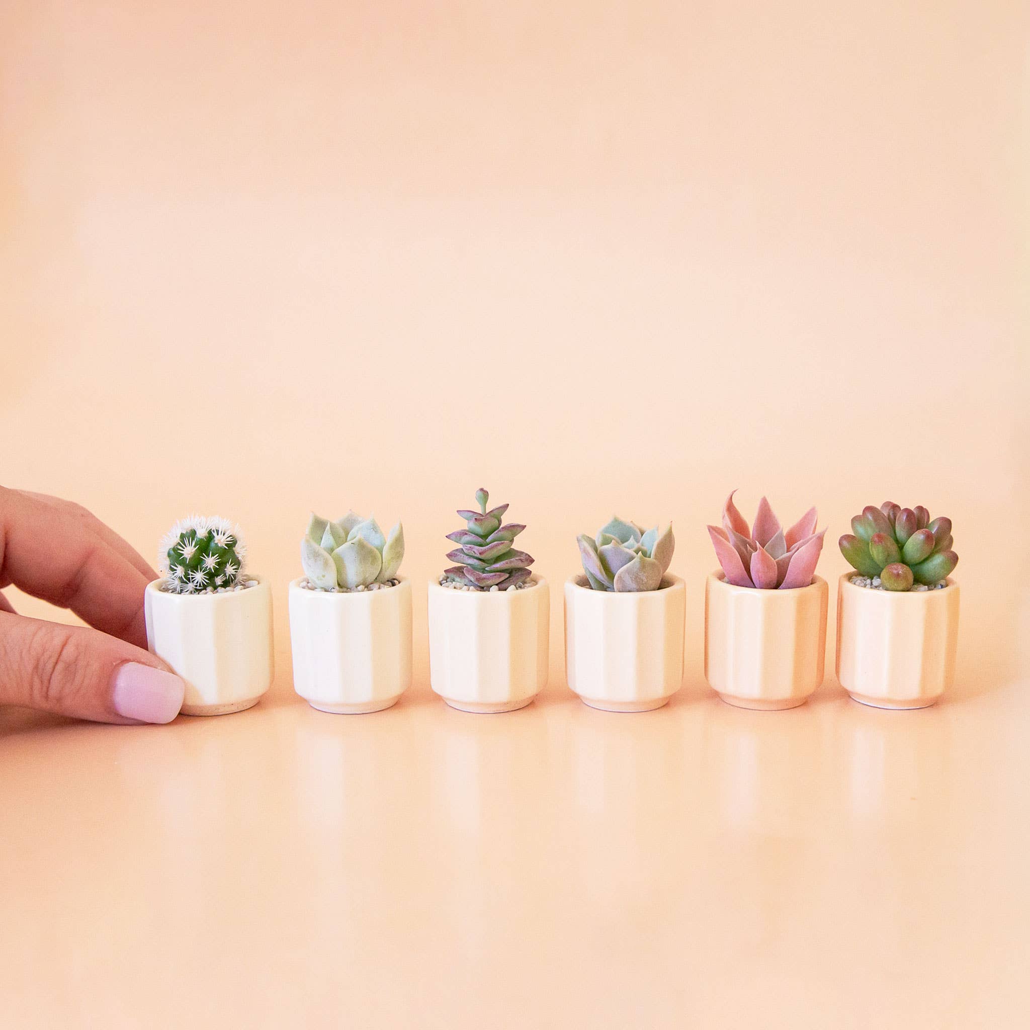Mini Monroe Planter