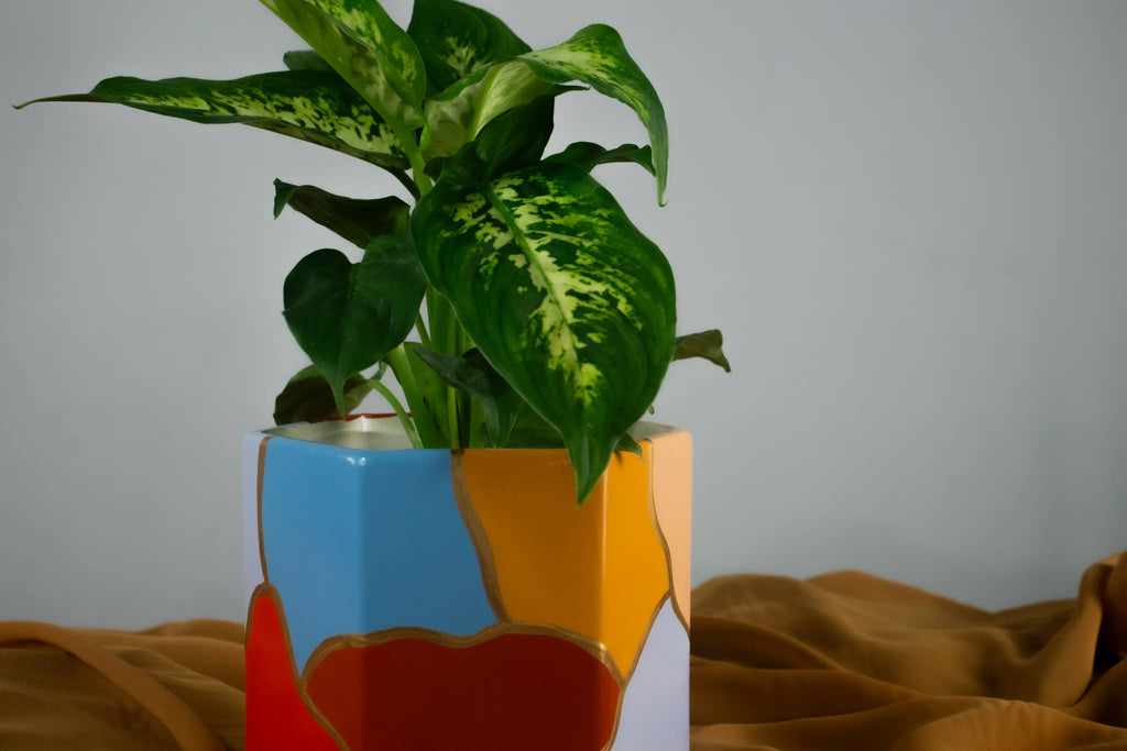 Hexagon Planter Pot with Tray | Design: Jordan