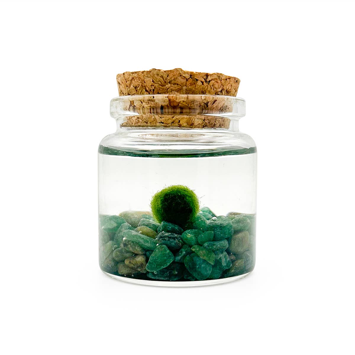 Small Marimo Moss Ball Terrarium with Aventurine Gemstones