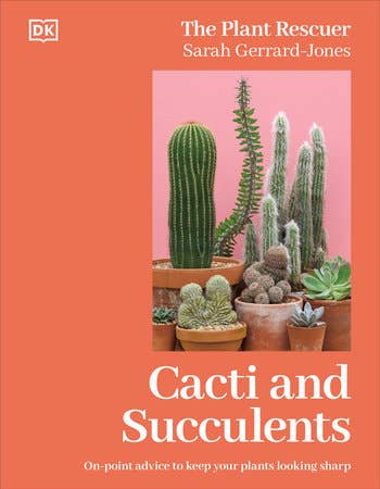 Cacti Succulents