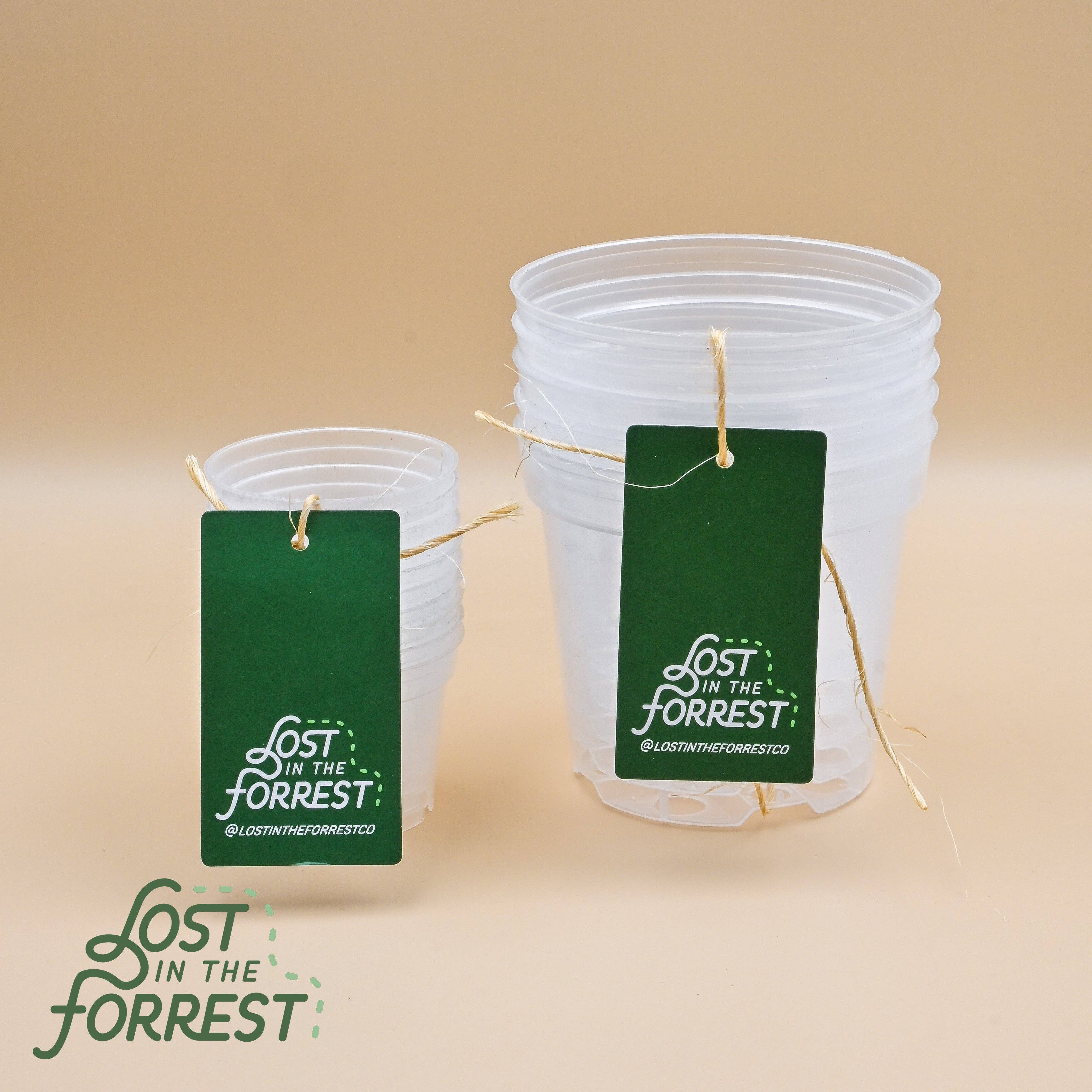 Clear Nursery Pots
